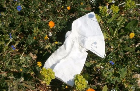 LE CONSEGUENZE DELL'AMORE 526701_304941909588973_873341811_n